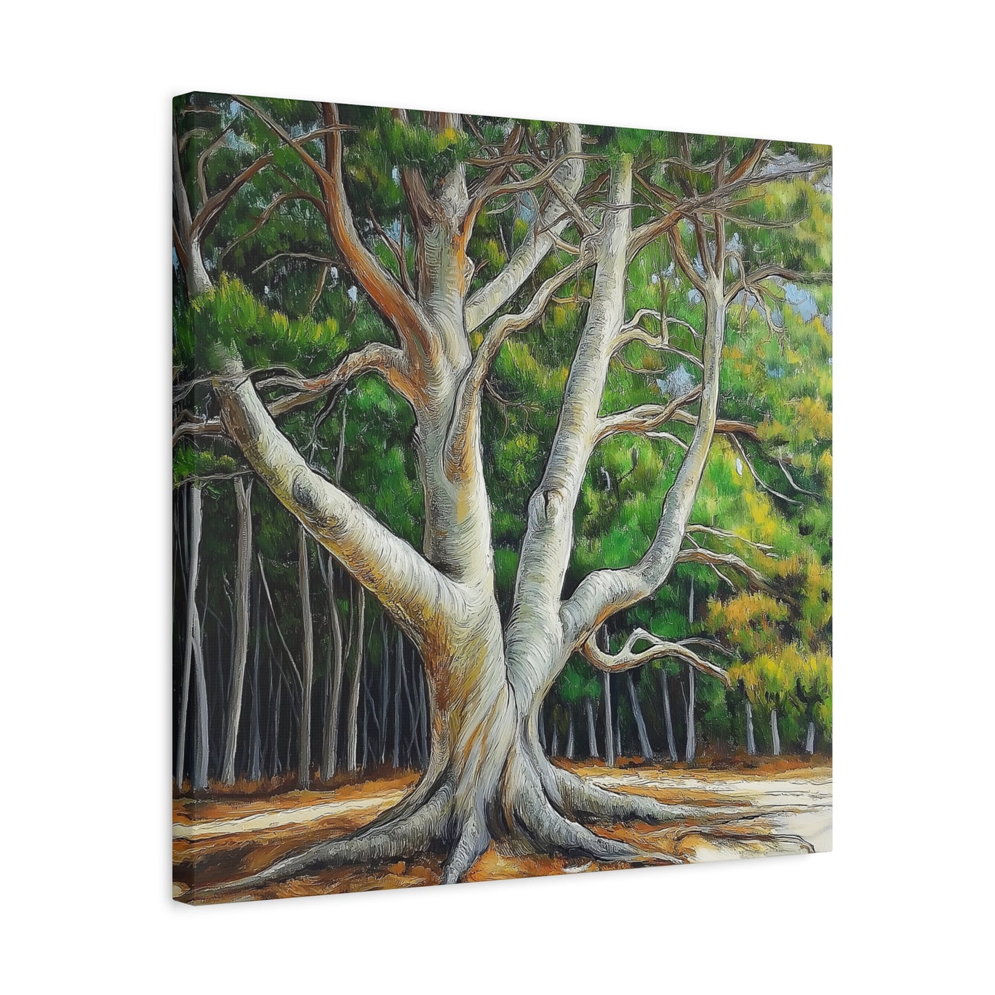 Canvas Wall Art - Pondering Pine Tree No 2