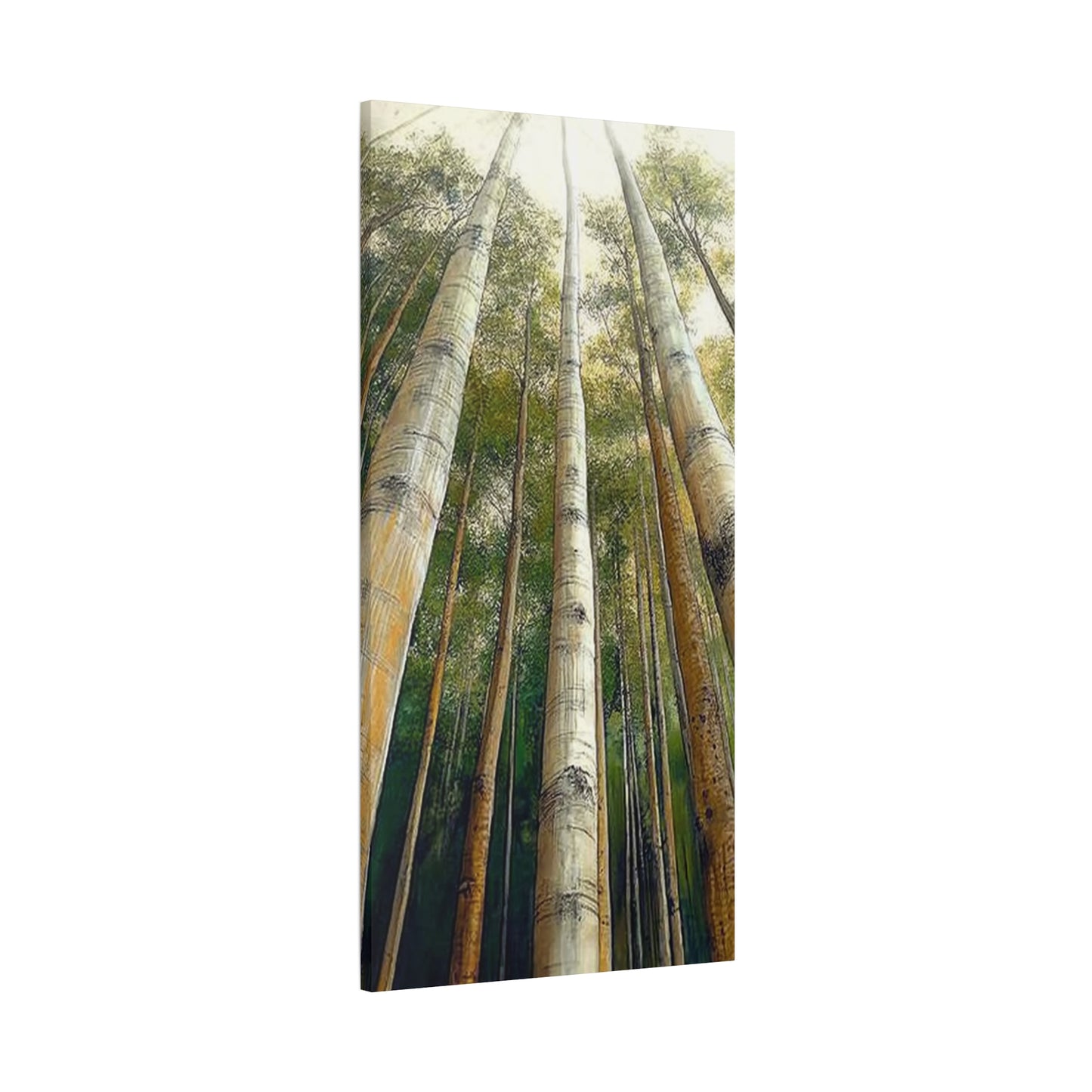 Canvas Art - Tall Aspens