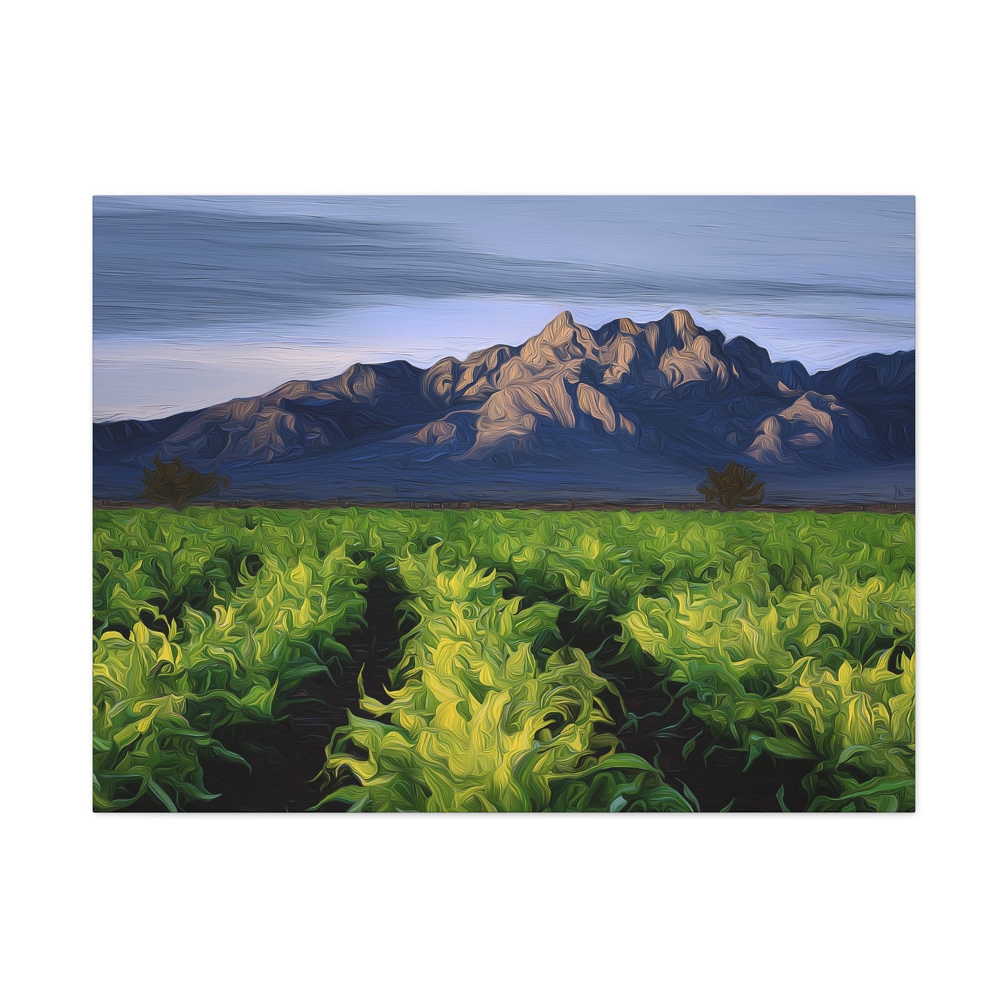 Canvas Print - Organ Mountains NM 405