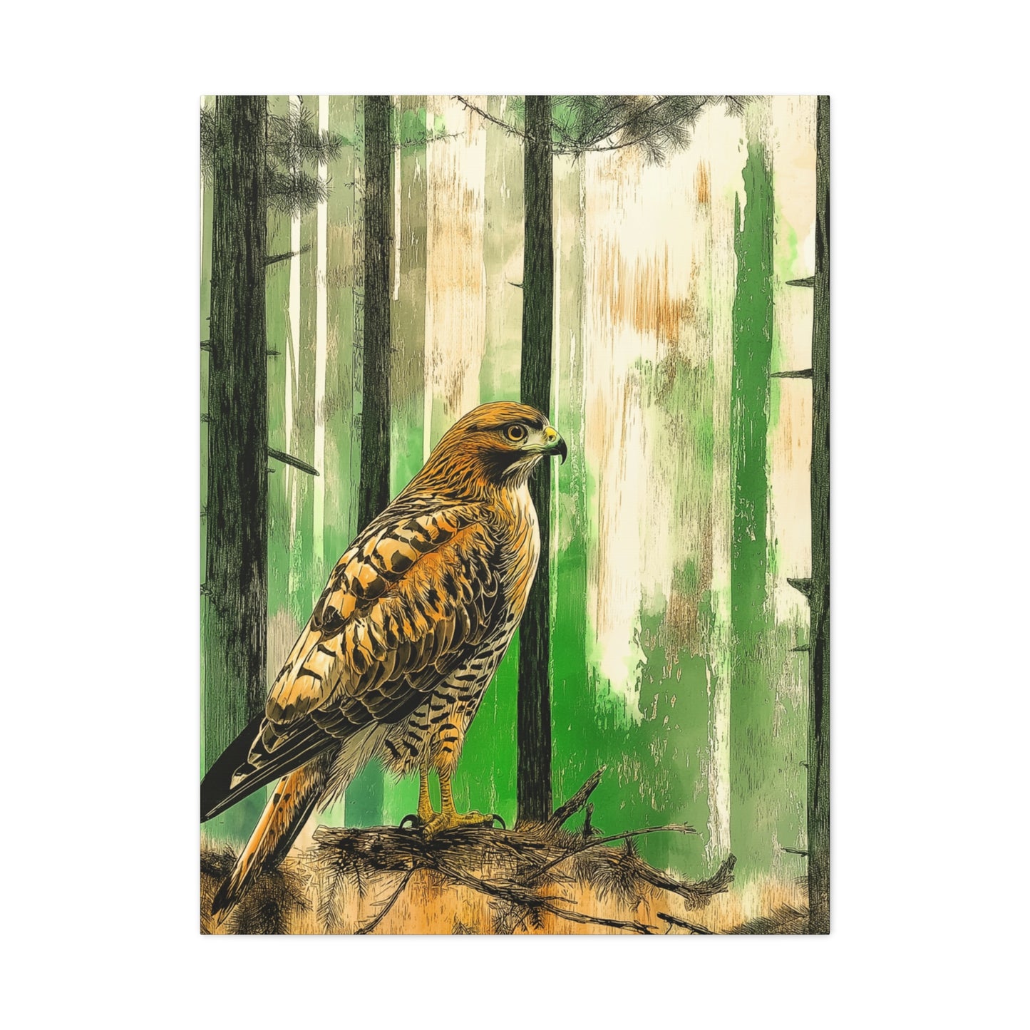 Canvas Print Red Tailed Hawk in Colorado Forest