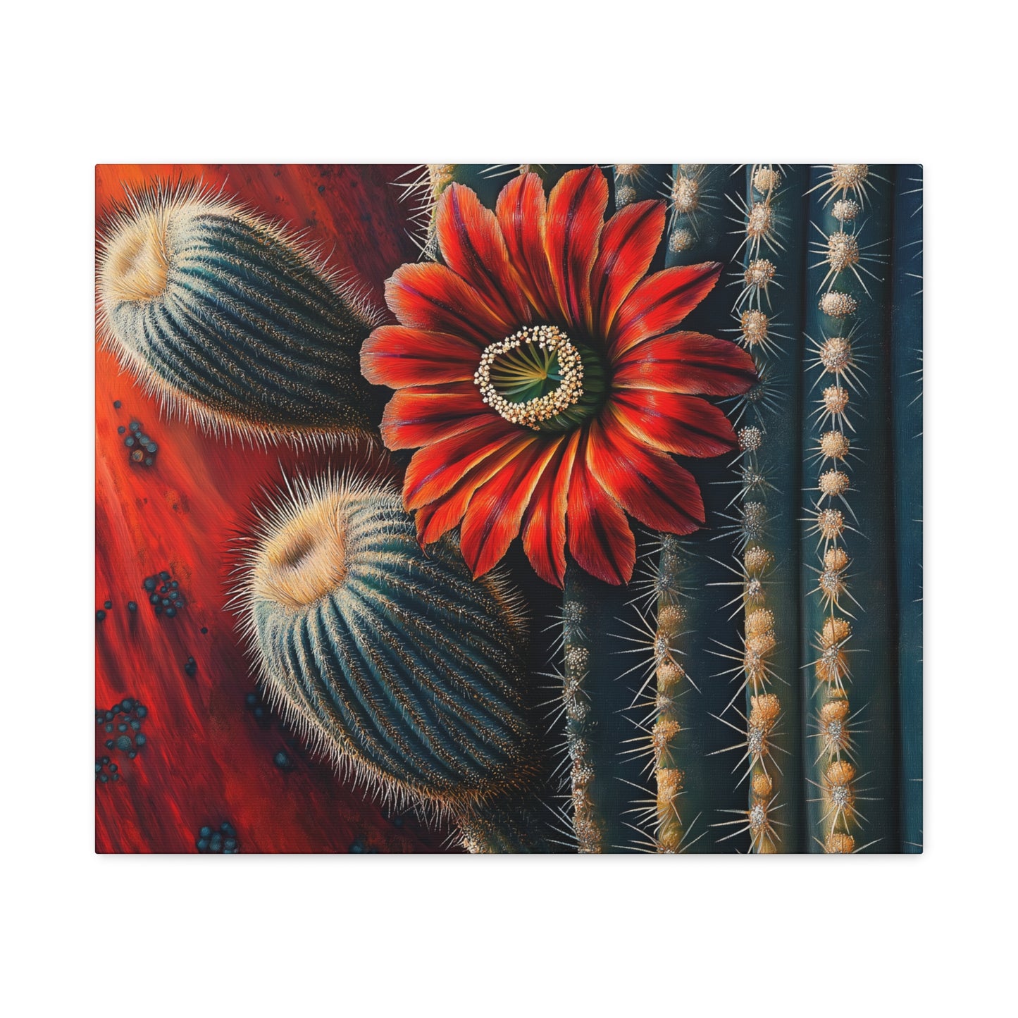 Canvas Print Santa Fe Bold Cactus Flower
