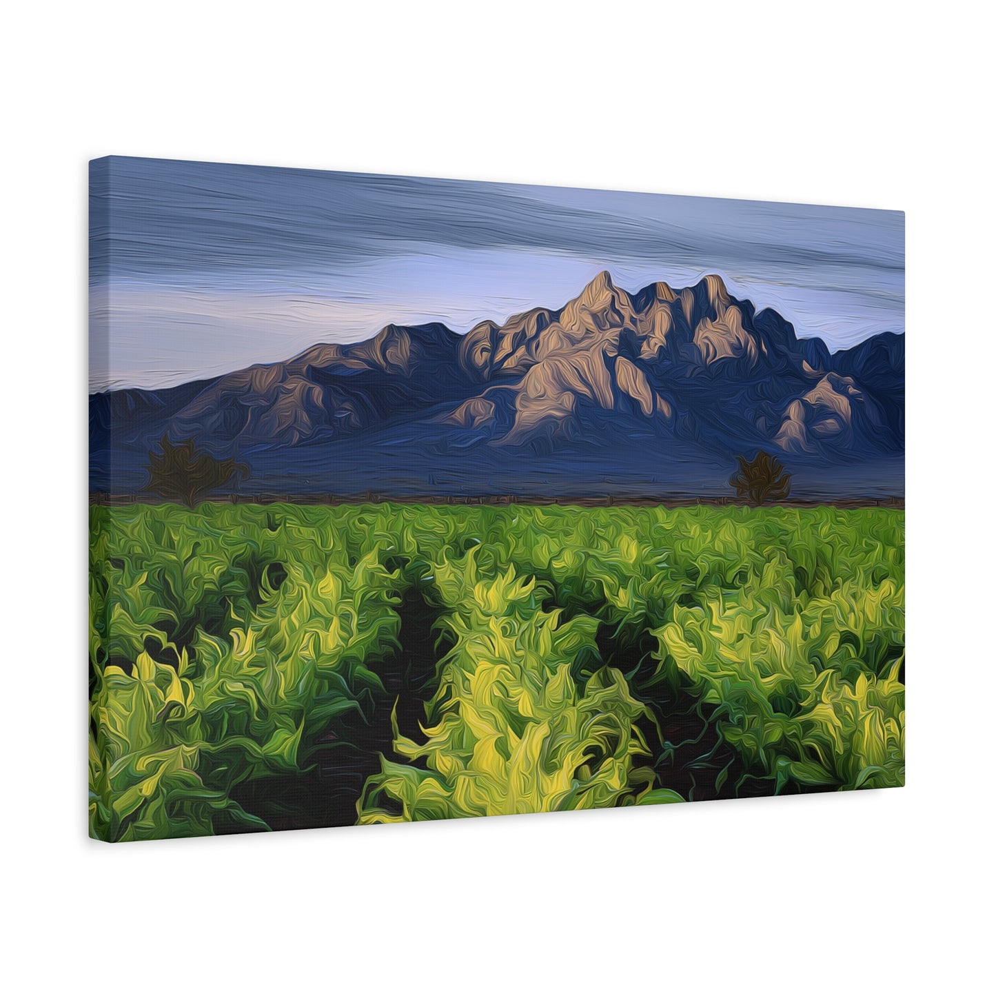 Canvas Print - Organ Mountains NM 405