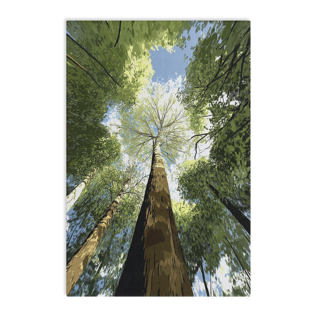 CanvsWrp-ImgWrp-16x24-Thick-2025072008521743