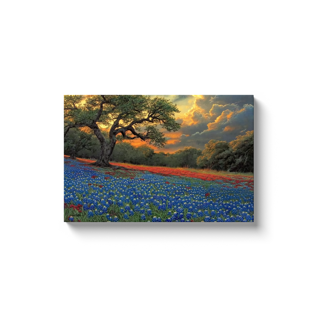 generated-proPreview-5