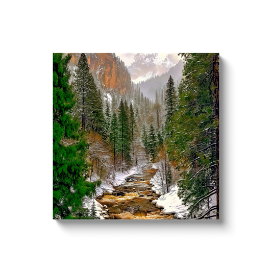 generated-proPreview-5