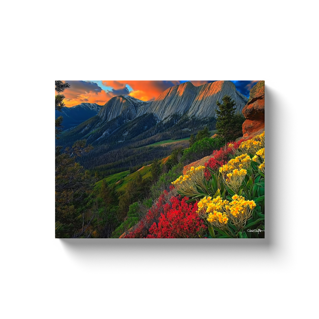 generated-proPreview-2