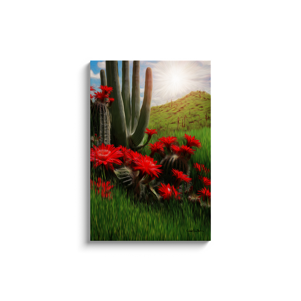 generated-proPreview-8