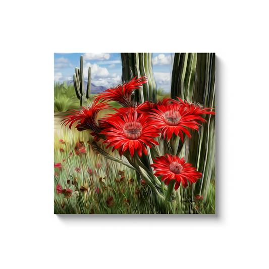 generated-proPreview-8