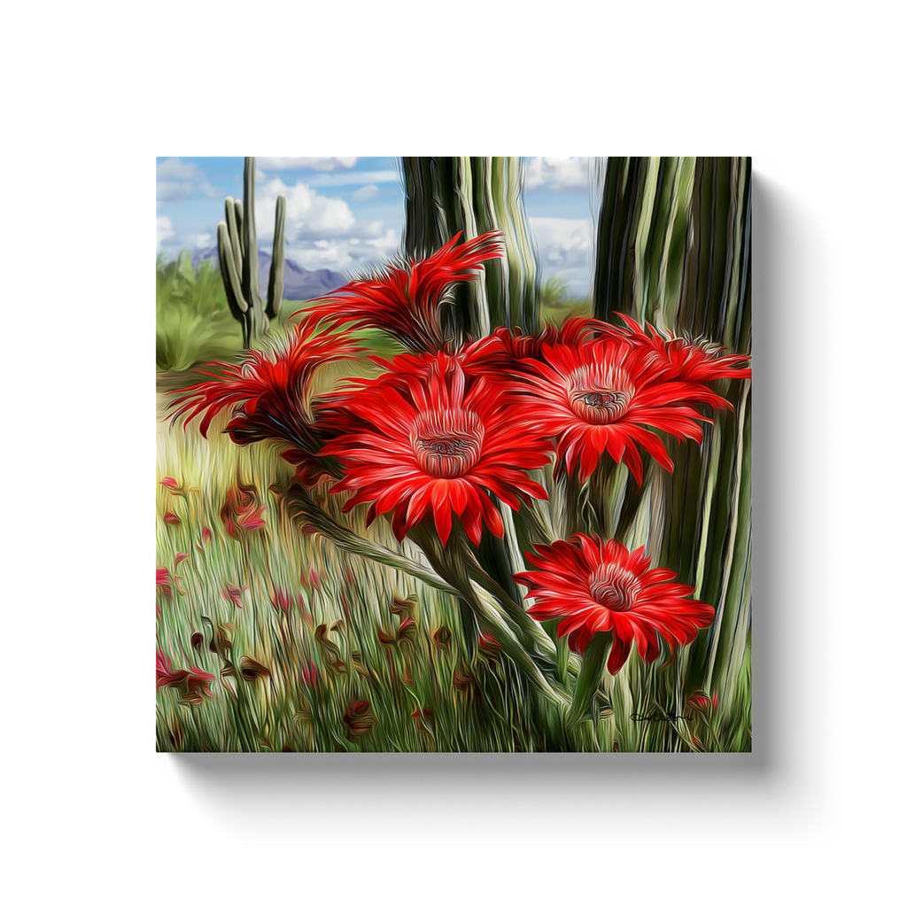 generated-proPreview-2