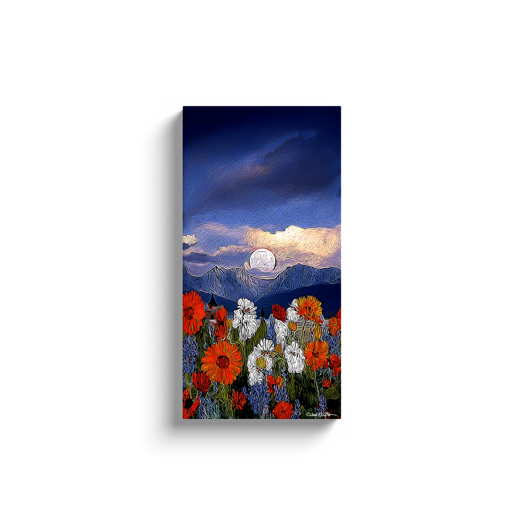 generated-proPreview-2