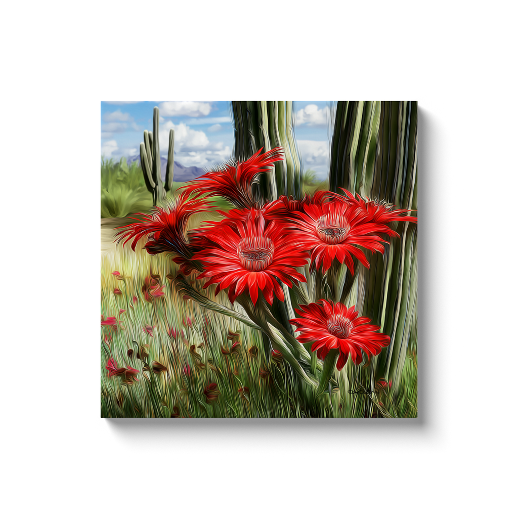 generated-proPreview-5