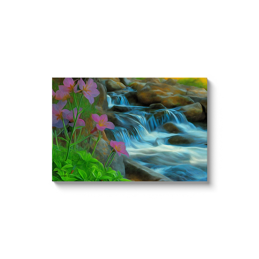 generated-proPreview-0