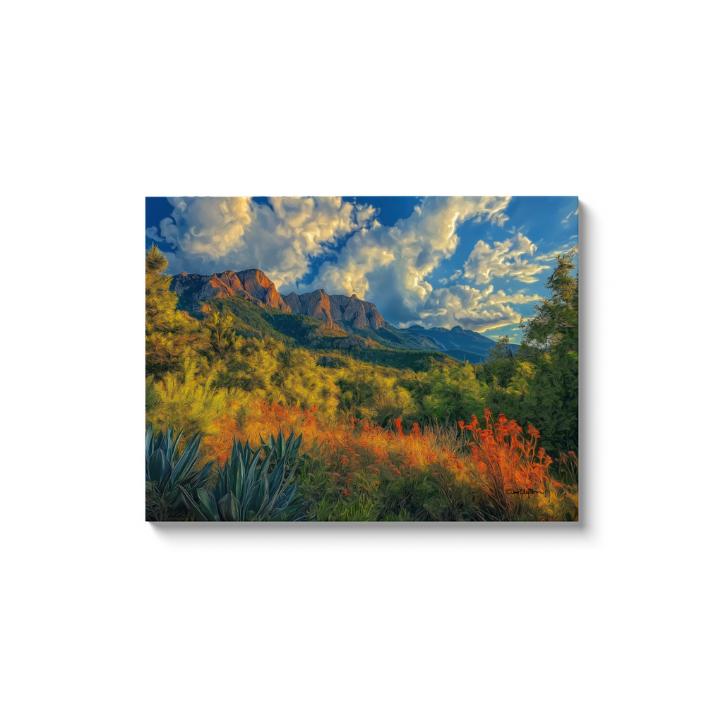 generated-proPreview-14