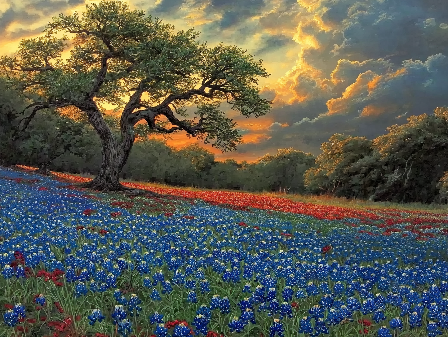 TX Bluebonnets V2